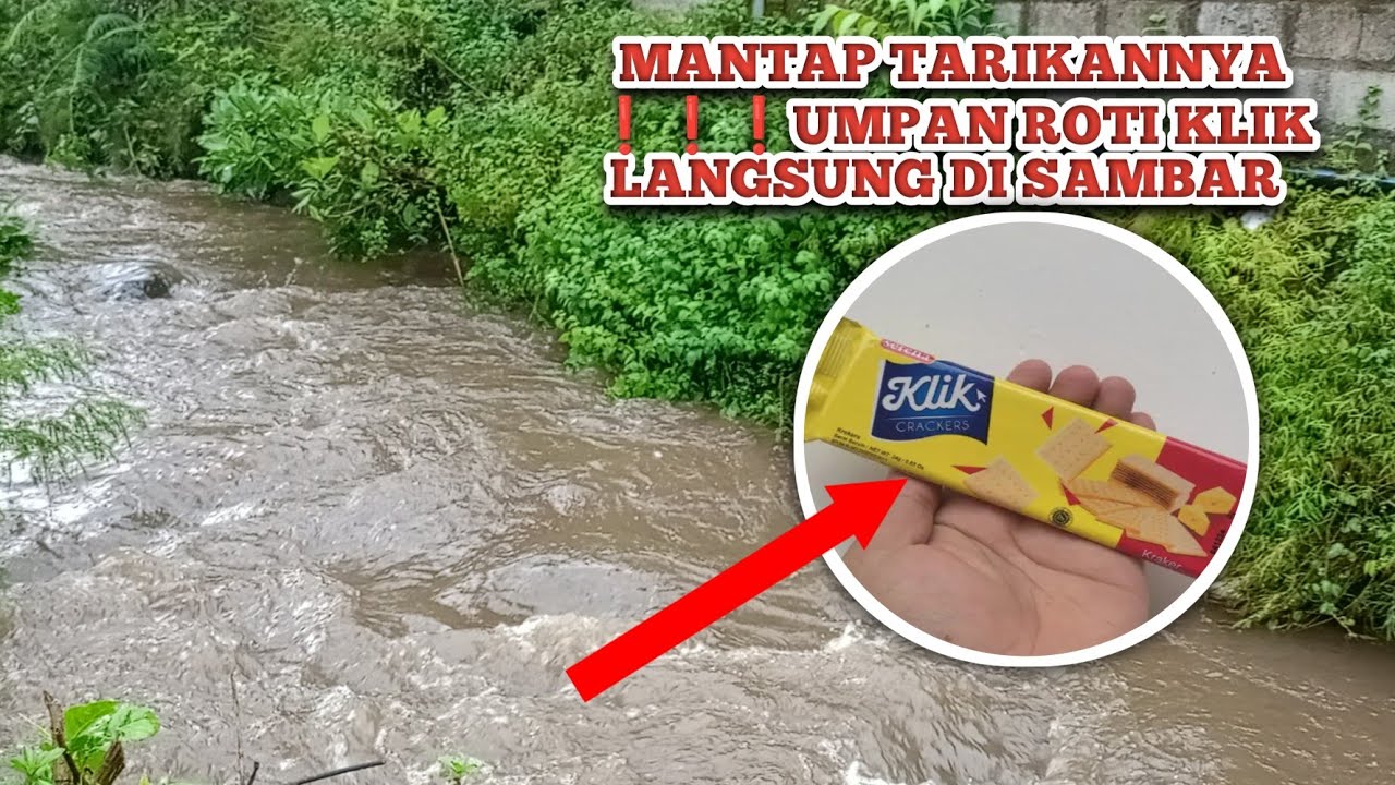 MANCING IKAN WADER DAN UCENG DENGAN UMPAN ROTI KLIK LANGSUNG DI SAMBAR IKAN ❗SPOT MANCING IKAN WADER