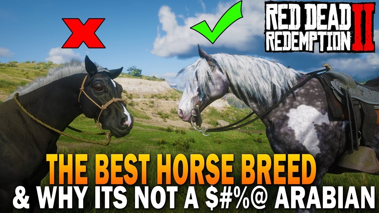 ЛУЧШАЯ порода лошадей в RDR2 и почему это не арабская лошадь — Red Dead Redemption 2 Horses