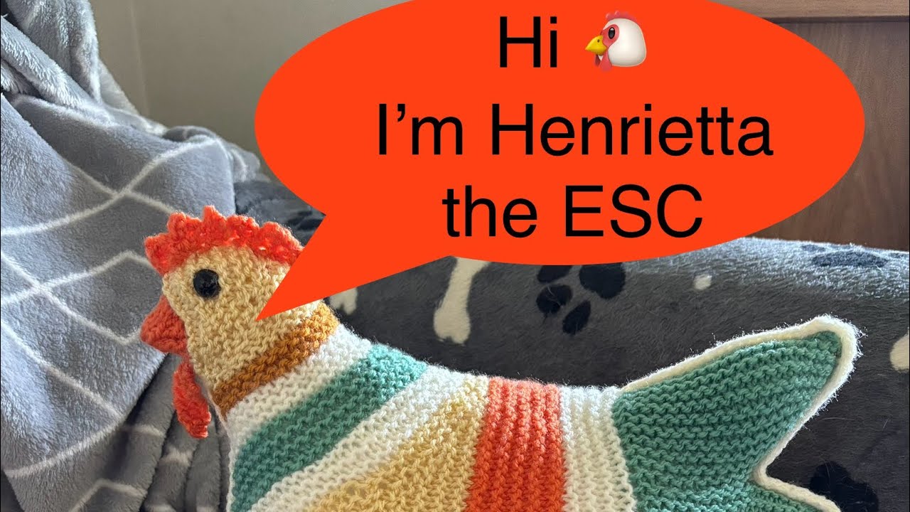 EMOTIONAL SUPPORT CHICKEN by @theknittingtree on Ravelry