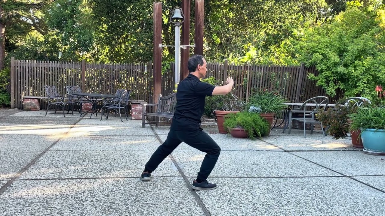 Chen Style Taiji Xin Jia Yilu 新架一路 - Part 2 of 5: postures 7 to 15