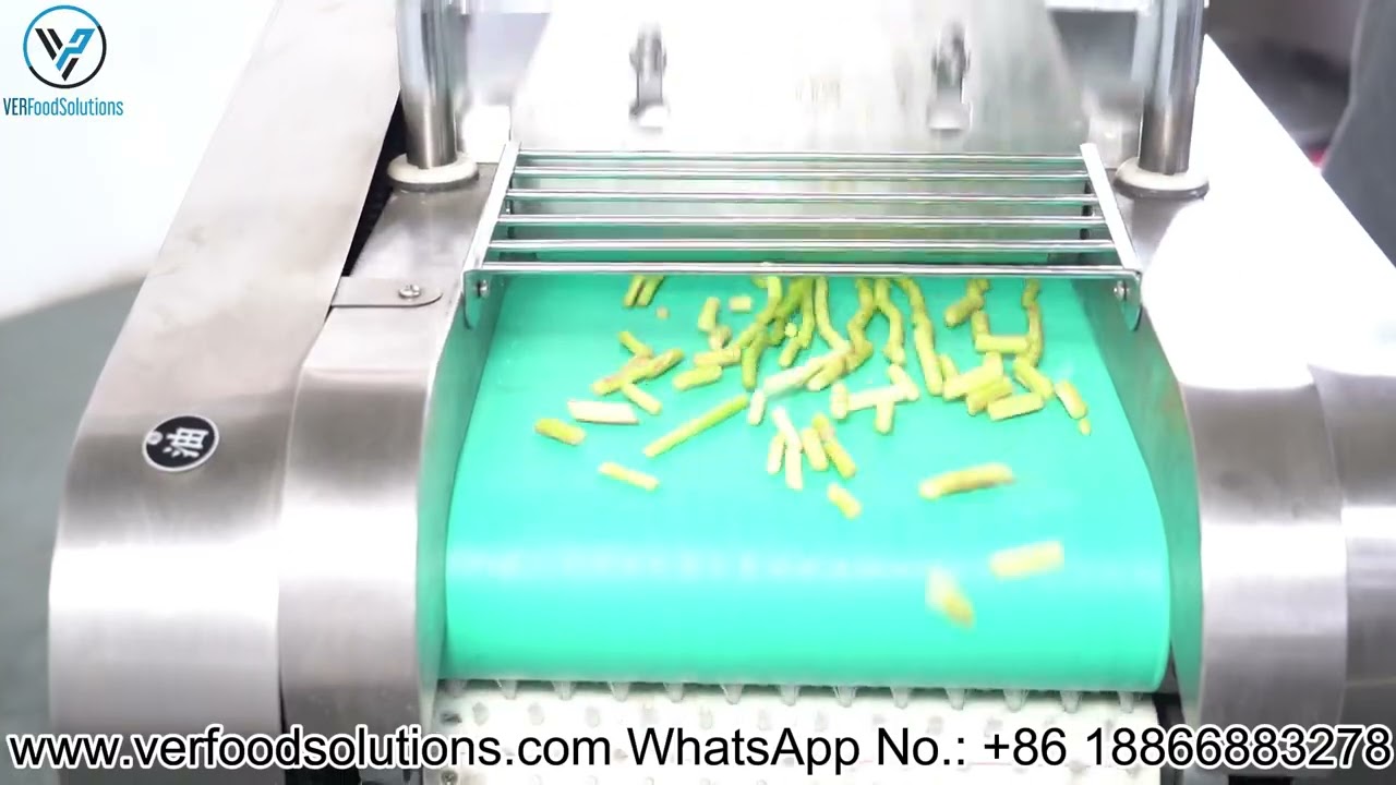VERFOODSOLUTIONS Garlic Sprouts Segment Leafy Vegetable Cutting Machine Test for Singapore Customer