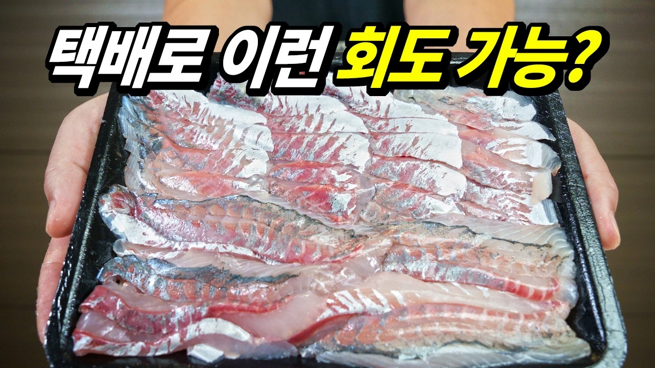 감성돔과도 안 바꾼다는 별미 생선회, 지금 발견하면 꼭 드세요!