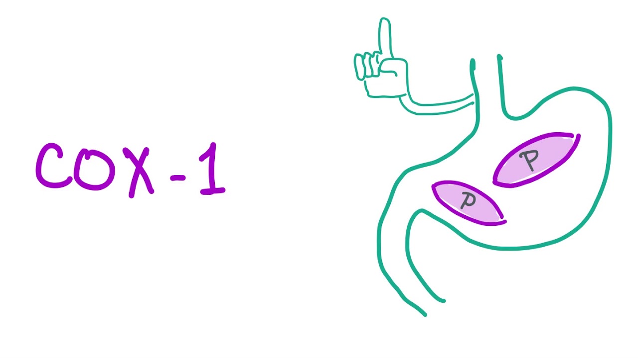 Cyclooxygenase-1 &  Cyclooxygenase-2 (COX 1, COX 2) - All You Need To Know - Pharmacology