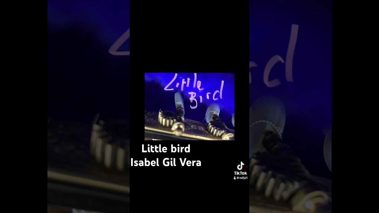 Little bird