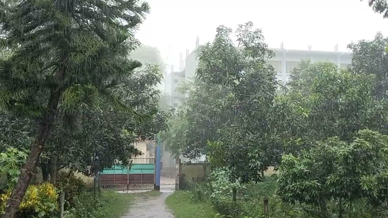 বৃষ্টির অপূর্ব দৃশ্য