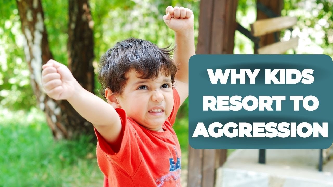 Children's Aggression and How to Handle It - The Positive Parenting Way