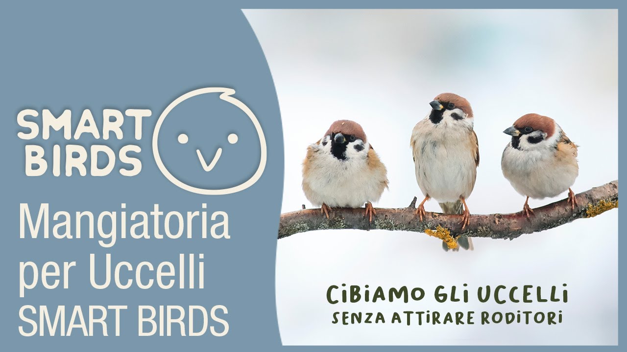 SMART BIRDS MANGIATORIA PER UCCELLI by SWISSINNO