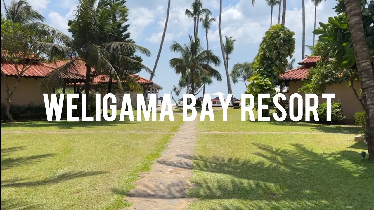 Sri Lanka 2024. Weligama bay resort 4* - 4k full video