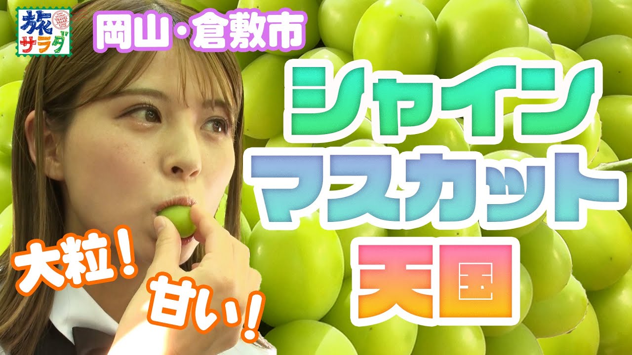 【パリッ！ジューシー！】極甘シャインマスカット✨