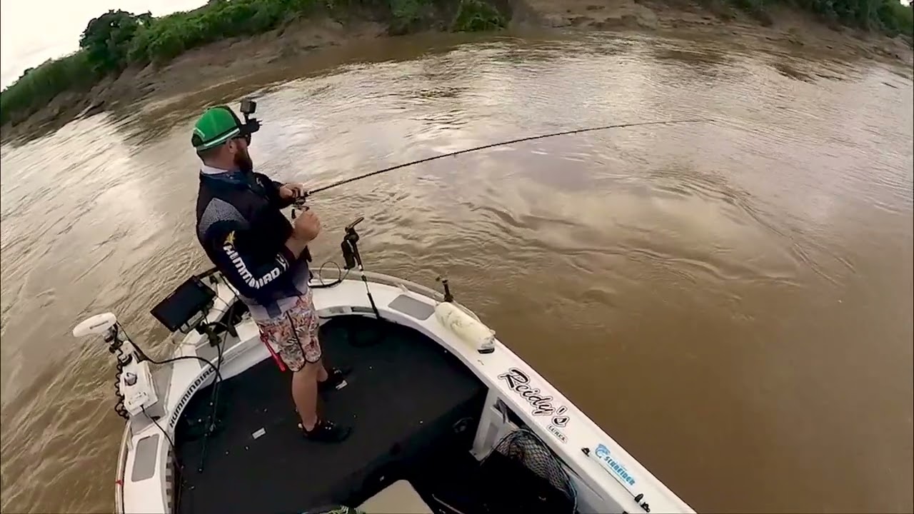 HUMMINBIRD MEGA LIVE on the Daly river Barra Nationals