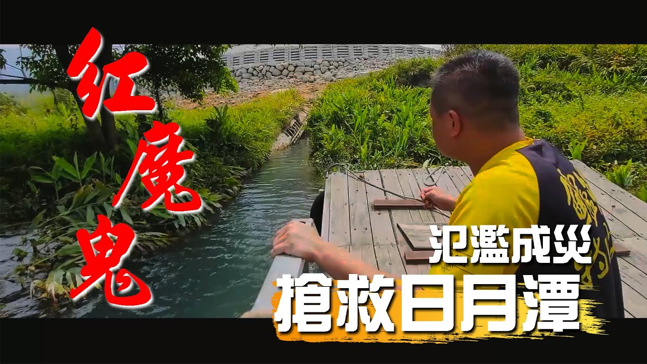 釣魚系列｜紅魔鬼落水咬，蝦桿博魚拉爽爽，原汁原味烤魚最美味。#日月潭 #蝦桿 #紅魔鬼 #珍珠石斑 #烤魚 #外來種