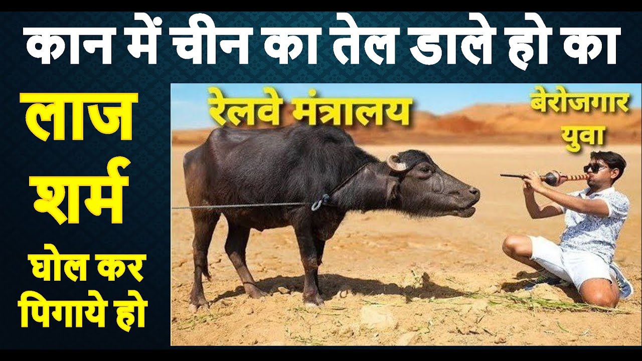 हद होगया है ना शर्म न लाज #rrbgroupdexamdate