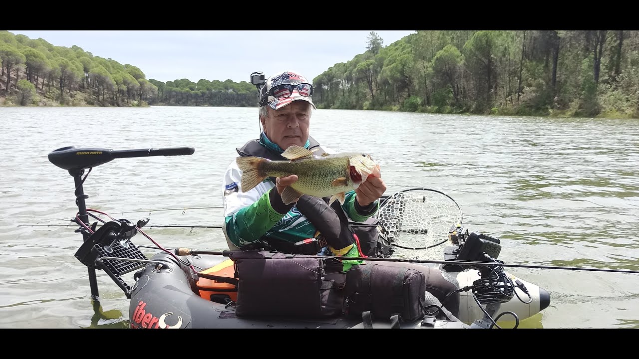 PESCA DEL BLACK BASS,  MAYO, entrenando para una manga del Club Bass Huelva.