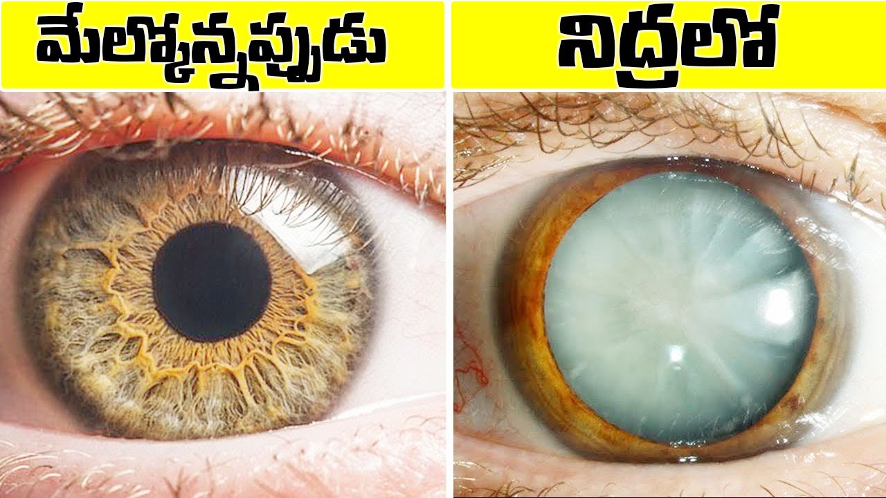 మన శరీరంలో మనకు తెలియని రహస్యాలు 😮 SHOCKING THINGS ABOUT OUR HUMAN BODY .