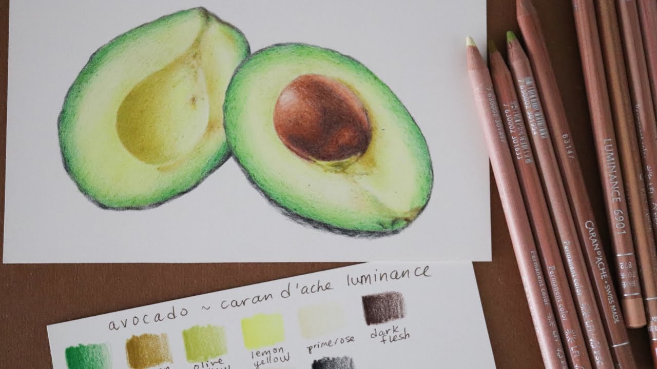 BEGINNERS COLORED PENCIL TIPS | COLORING AN AVOCADO