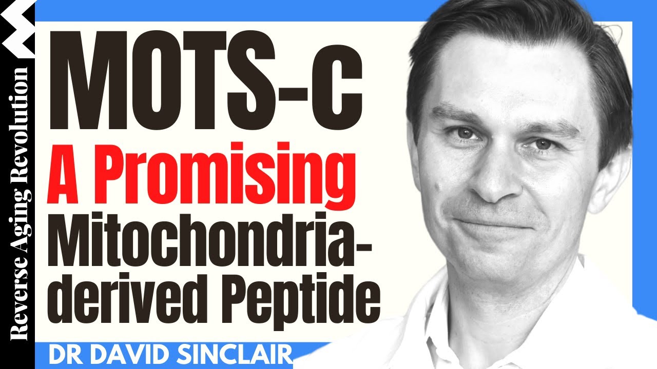 MOTS-c &ndash; A Promising Mitochondrial-derived Peptide For Longevity  | Dr David Sinclair Interview Clip