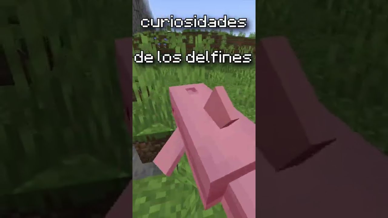 Cosas que no sab&iacute;as del Delf&iacute;n - Minecraft