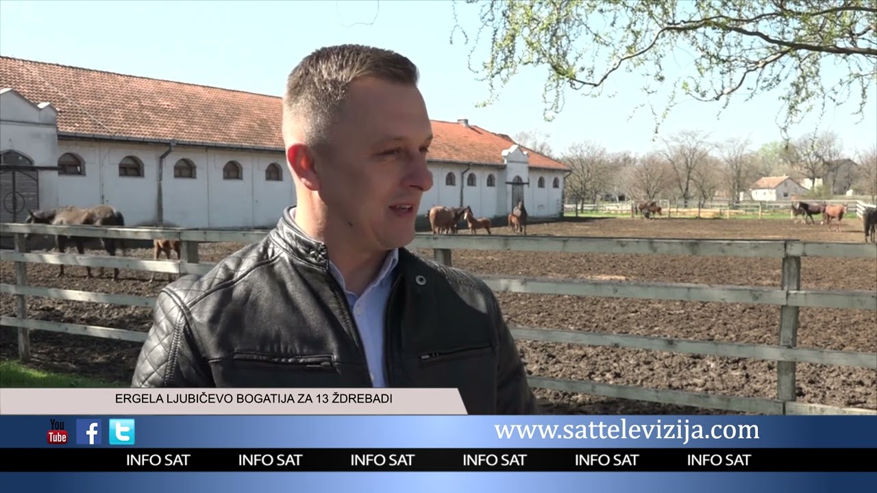 ERGELA LJUBIČEVO BOGATIJA ZA 13 ŽDREBADI