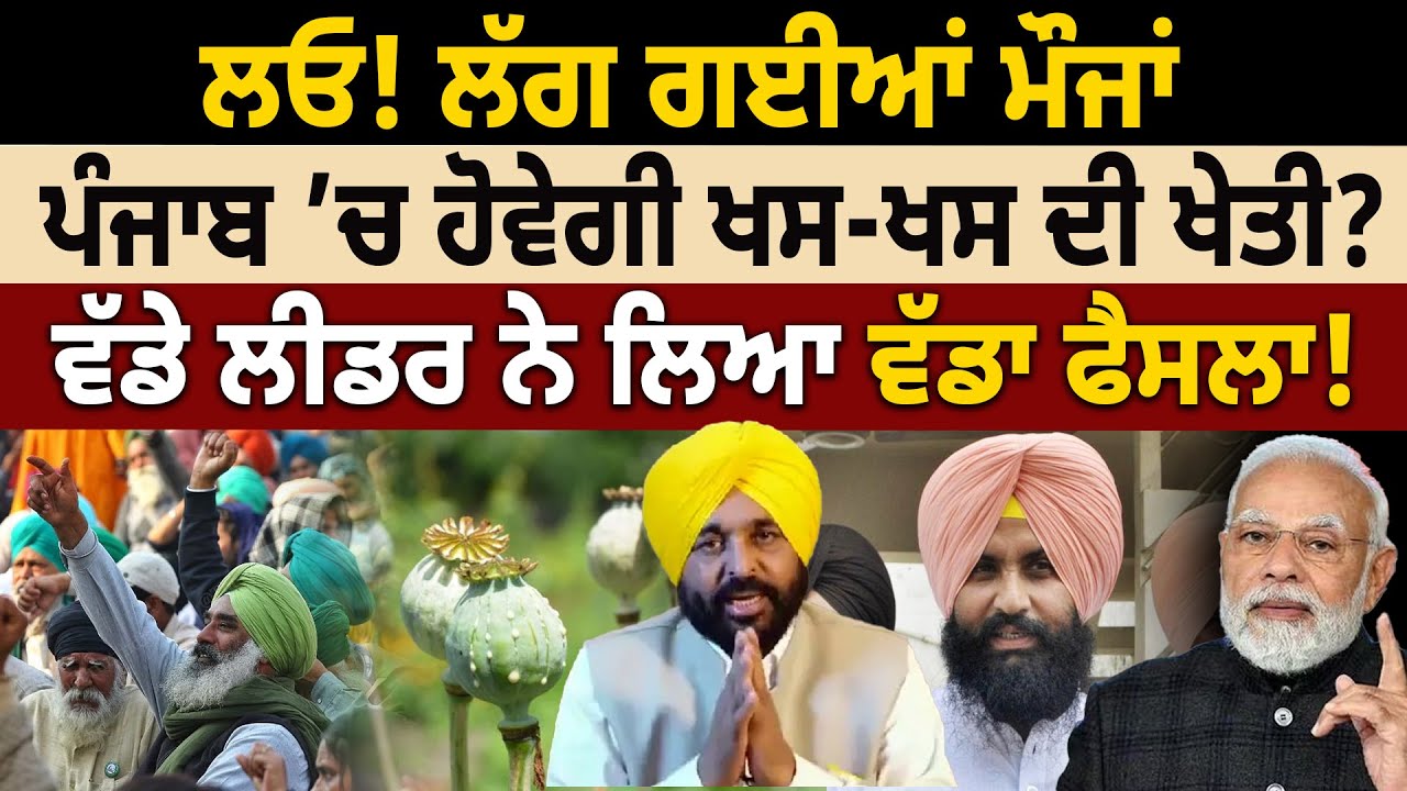 ਲਓ! ਲੱਗ ਗਈਆਂ ਮੌਜਾਂ, ਪੰਜਾਬ ’ਚ ਹੋਵੇਗੀ ਖਸ-ਖਸ ਦੀ ਖੇਤੀ? ਵੱਡੇ ਲੀਡਰ ਨੇ ਲਿਆ ਵੱਡਾ ਫੈਸਲਾ! | D5 Channel Punjabi