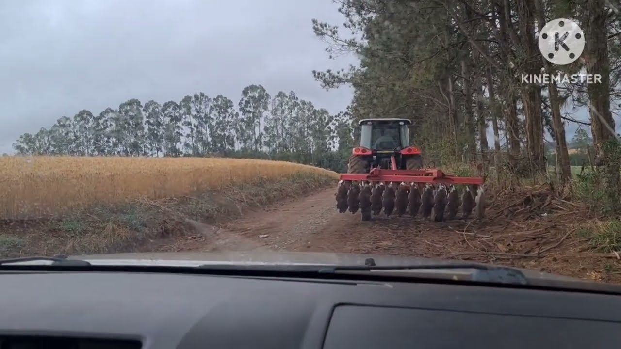 🇧🇷NOSSA HISTÓRIA de onde tudo começou do lugar onde viemos do interior Paulista pro Tocantins 
