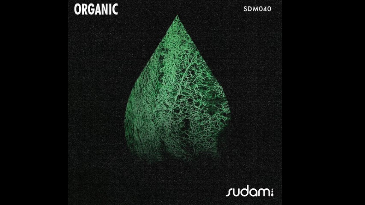 CLAUDIO RICCI | Antares (original mix) | SUDAM RECORDINGS