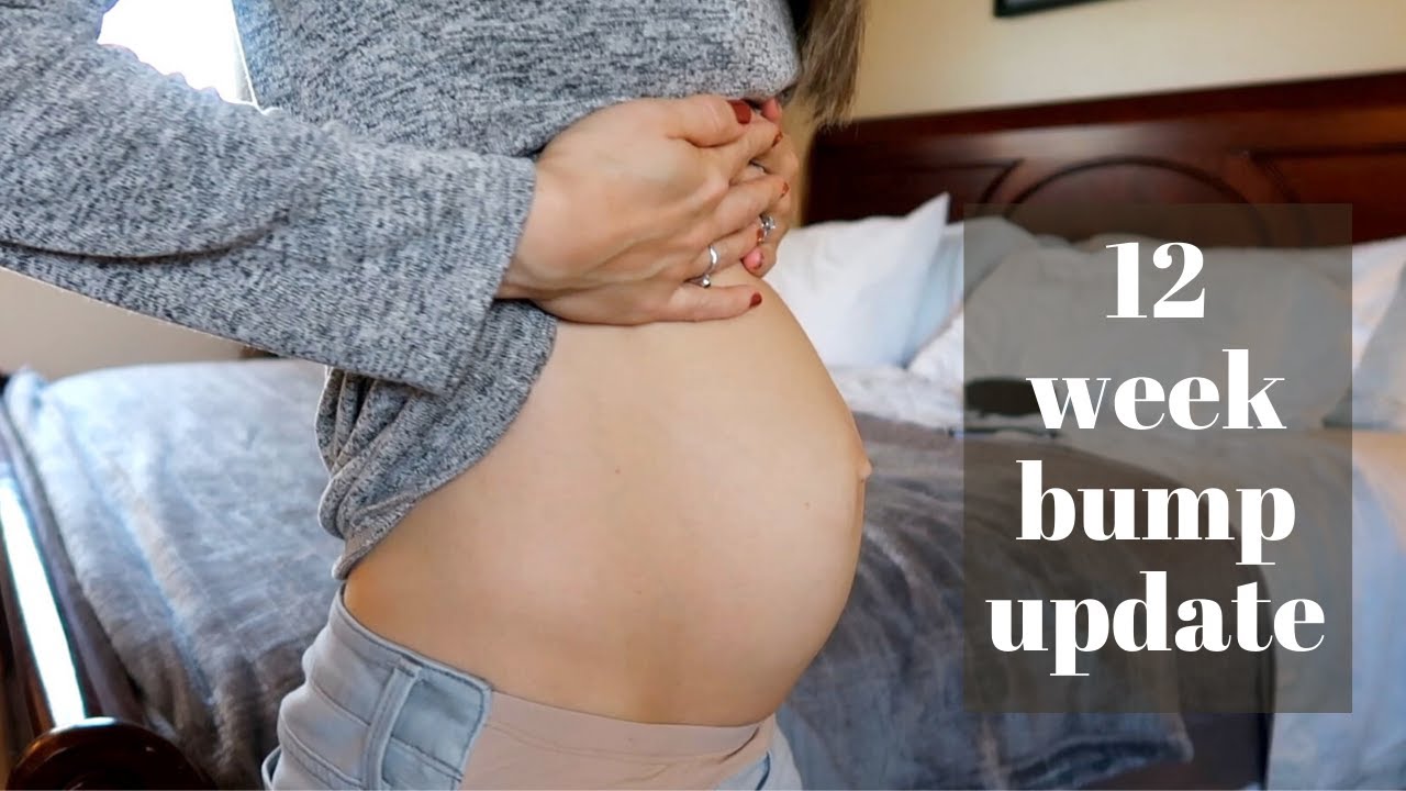 12 week pregnancy update