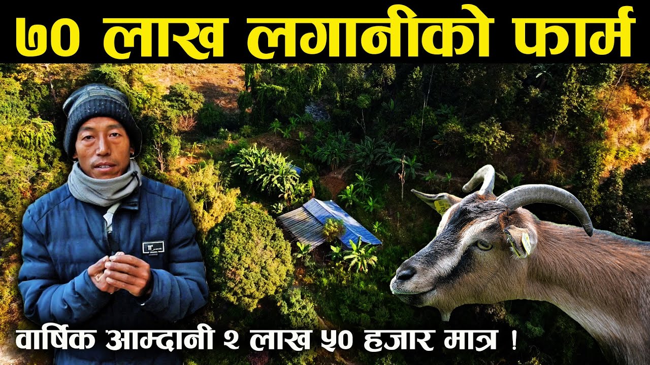 ७० लाख लगानीको फार्मबाट वार्षिक आम्दानी २ लाख ५० हजार मात्र,भाडामा दिने वा बेच्ने सोचमा पुगे संचालक