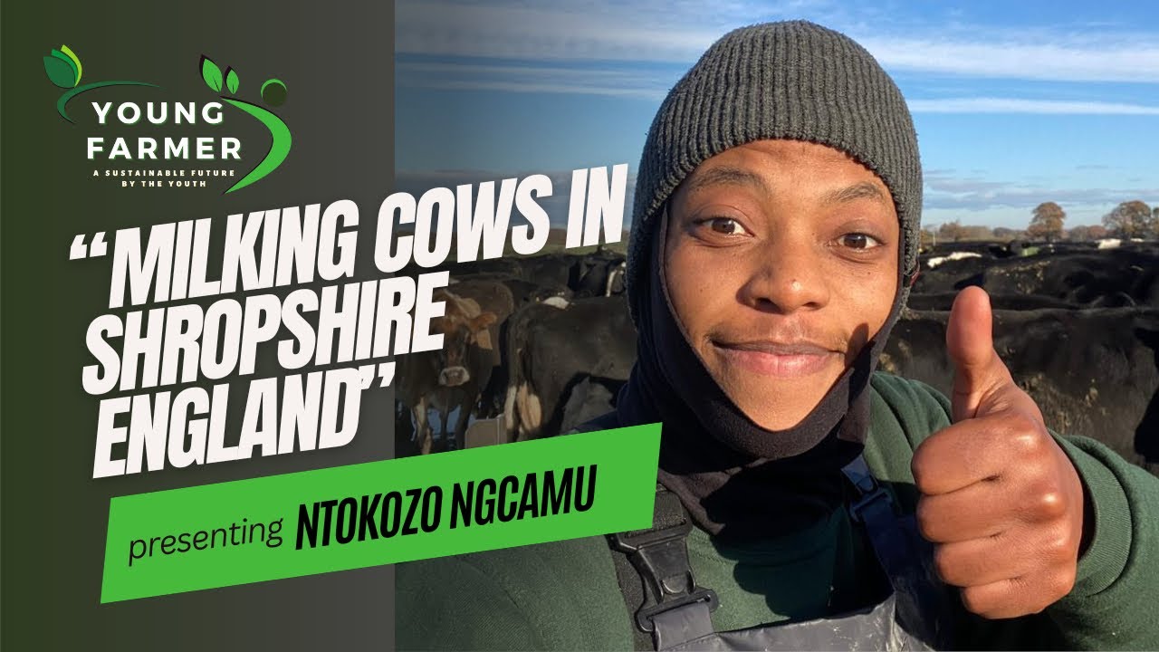 Episode 10: Ntokozo Ngcamu