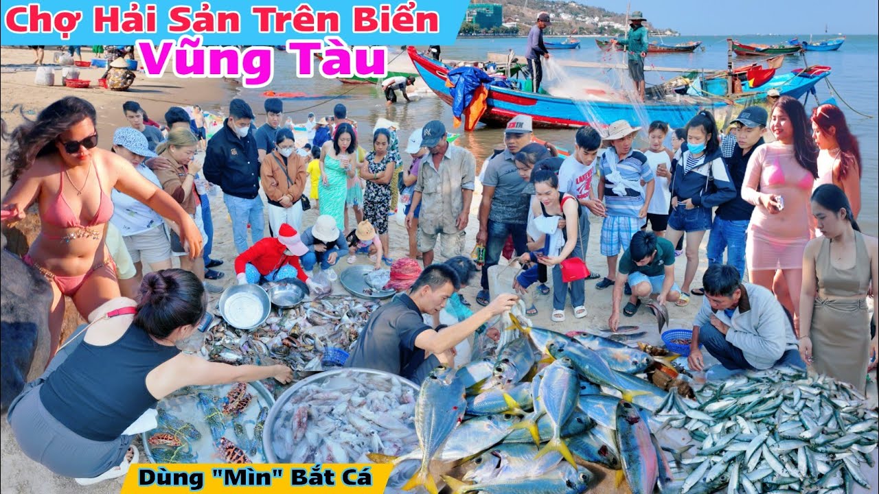 Ngư dân cầu cứu nạn 'mìn