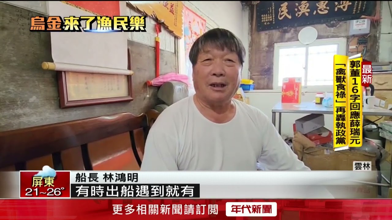 寒流帶烏金報到！ 捕獲百尾「野生烏魚」 漁民大豐收笑嗨嗨