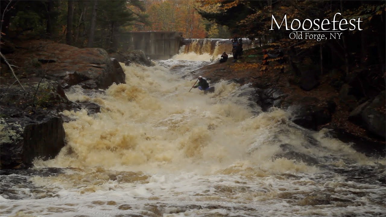 Moose River Fest