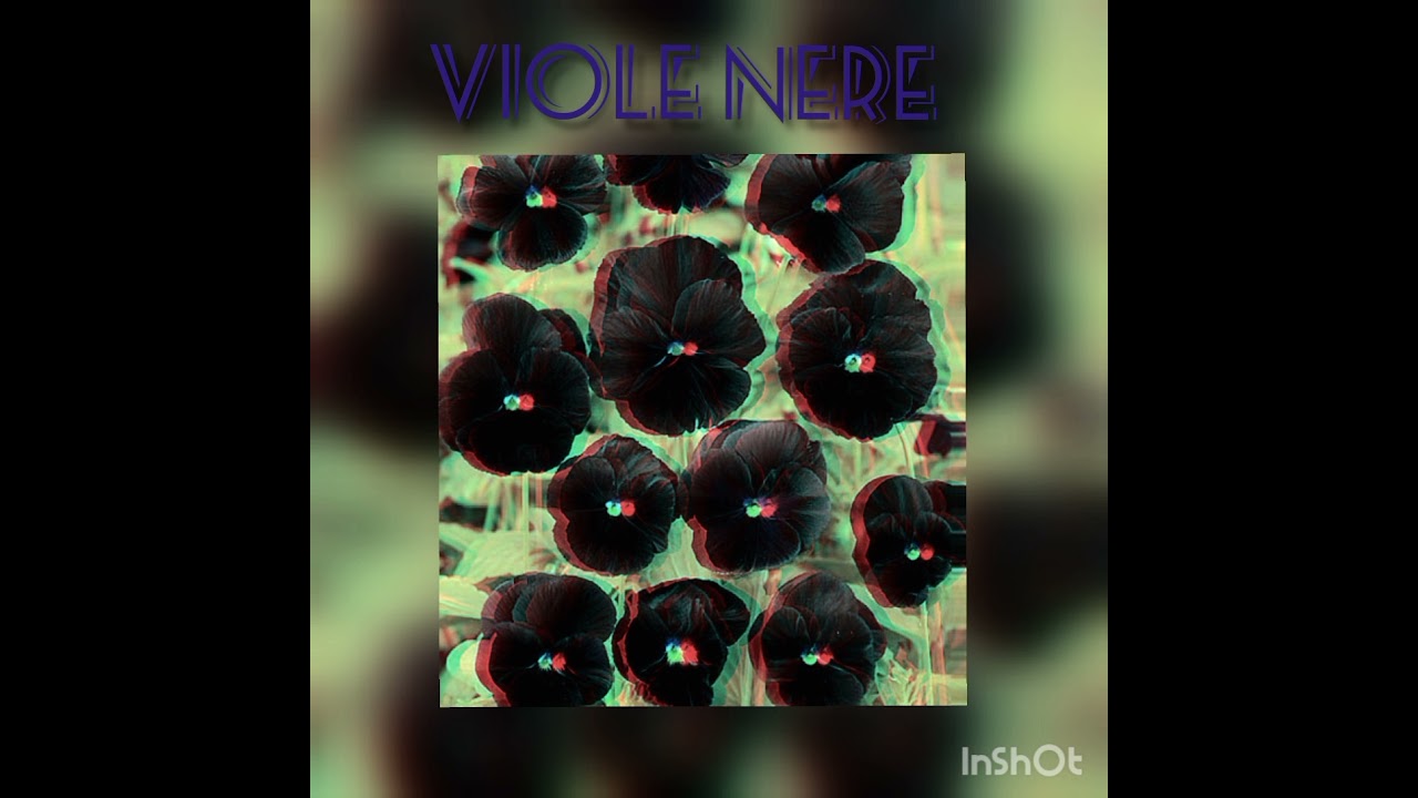 Viole Nere - djp -