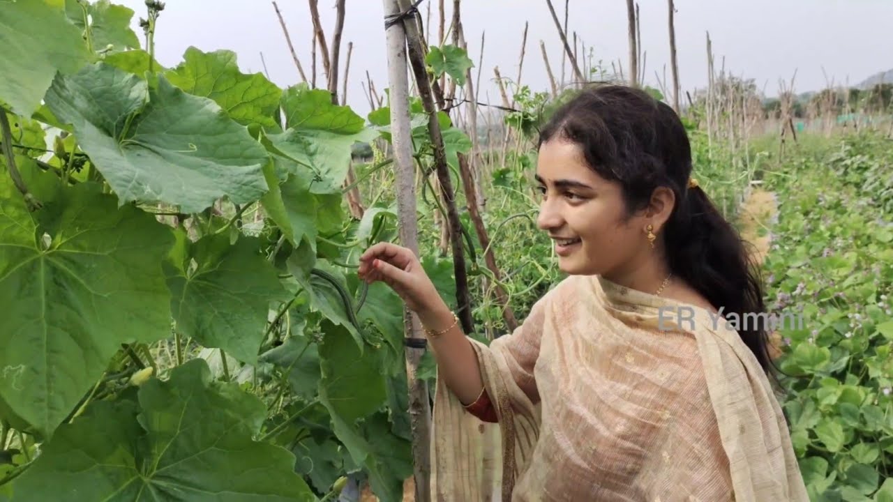 All Vegetables in our farm #eryamini #foryou #yamini