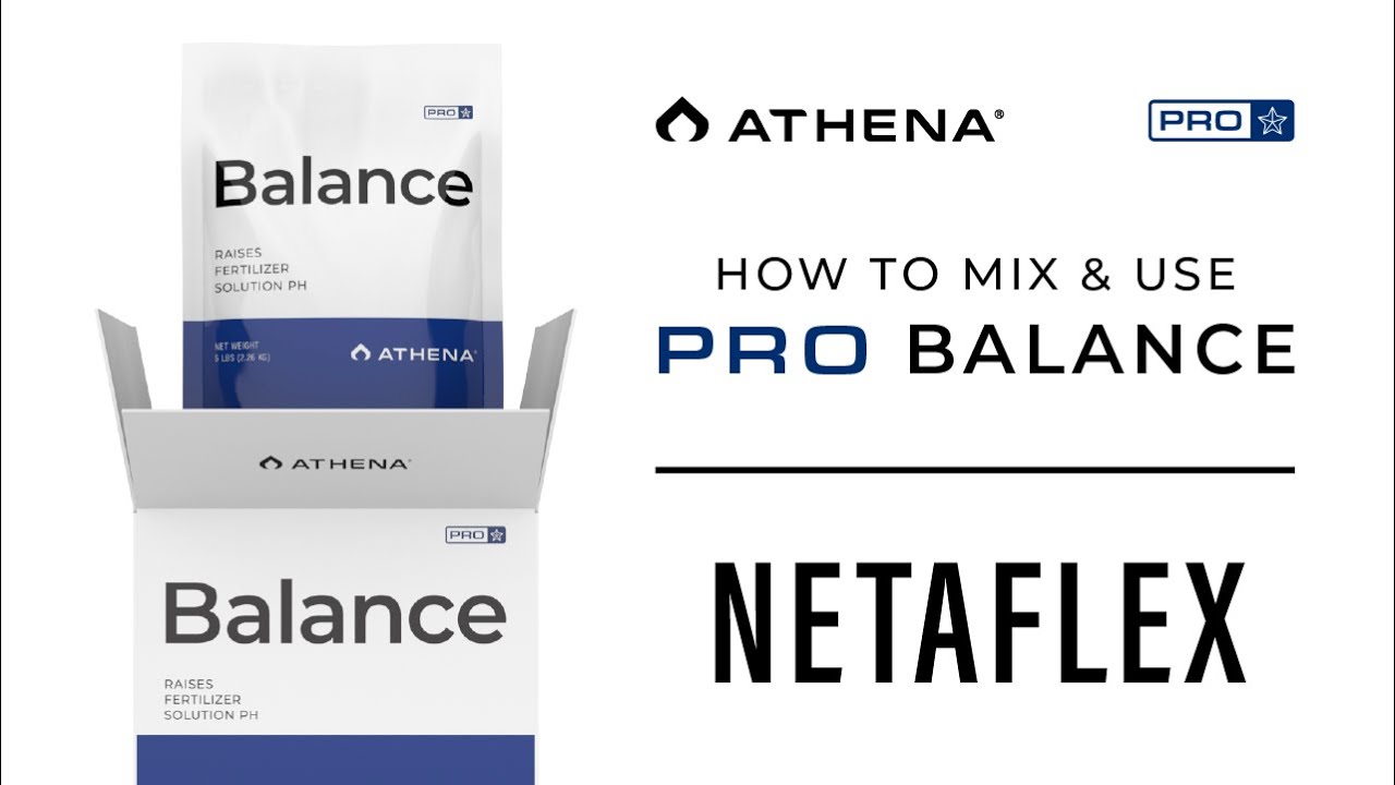 How to mix & use Pro Balance &ndash; Netaflex
