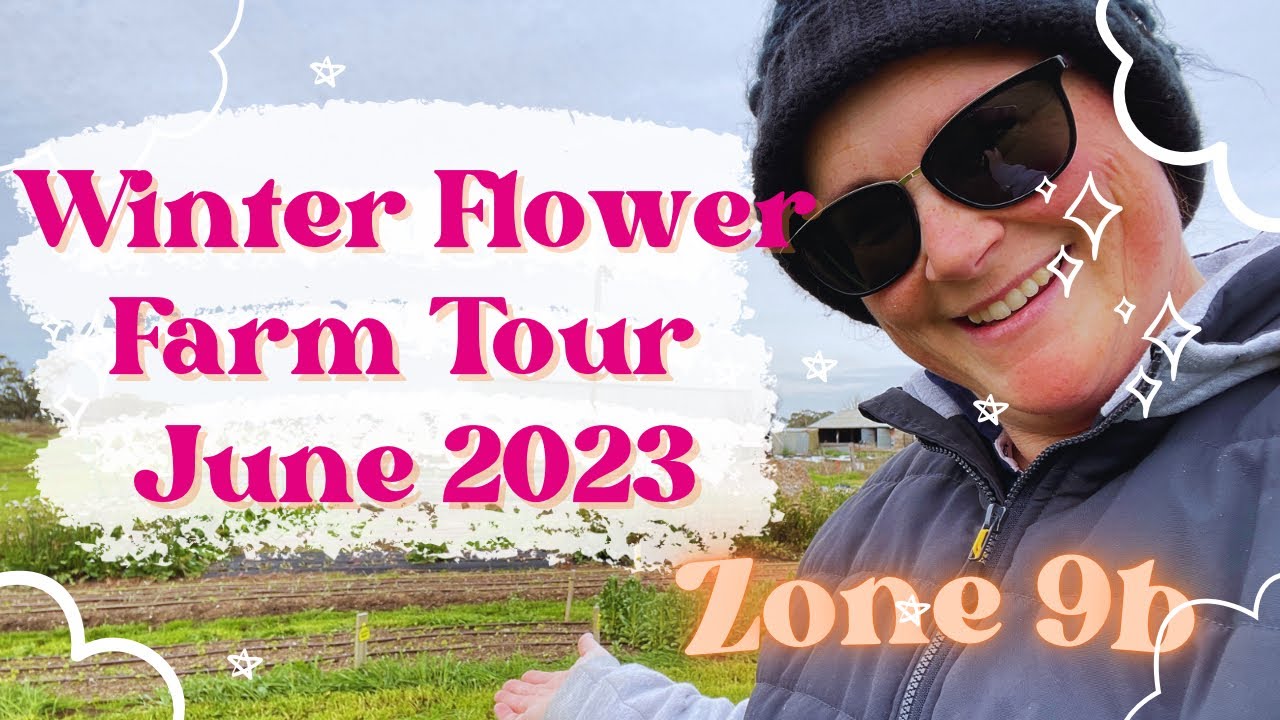 June 2023 {Winter} Flower Farm Tour | Australian Cut Flower Farm