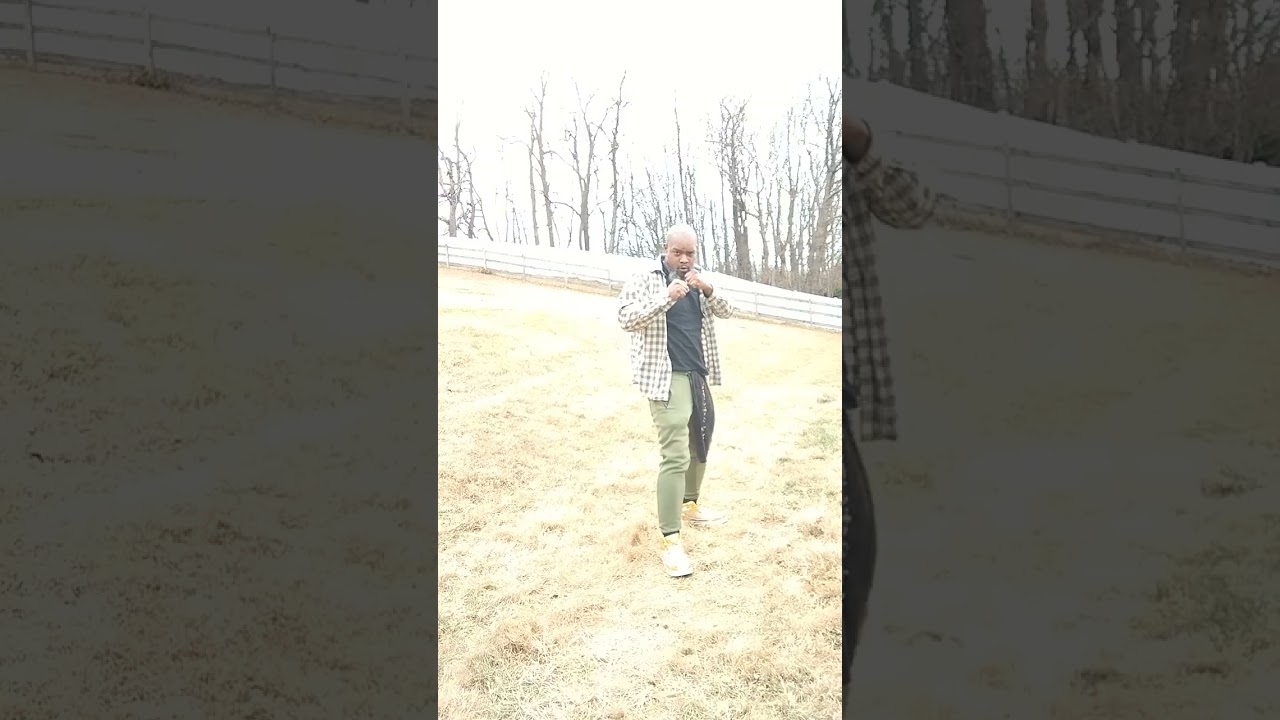 Flawless Victory 