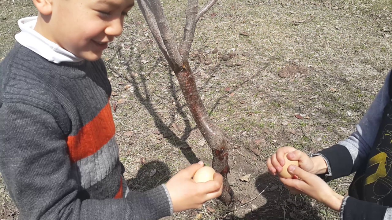 Novruzda yumurta döyüşərlər