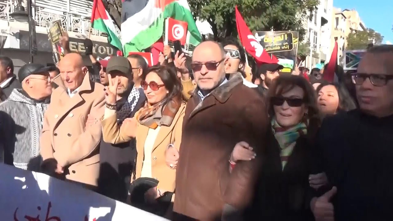 Tunisians opposition parties and rights groups rally on anniversary of 'Jasmine Revolution'