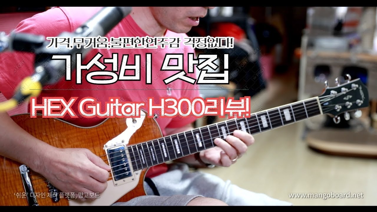 가성비 레스폴의 끝판 Hex H300 리뷰