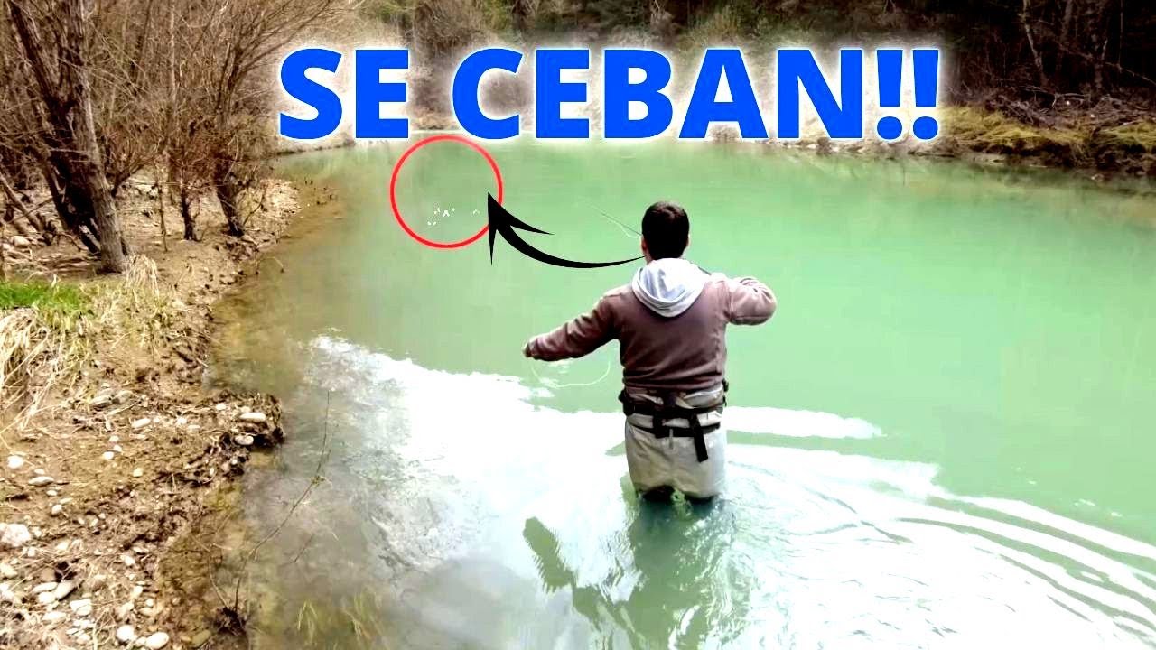 Pesca a Mosca Seca con agua 