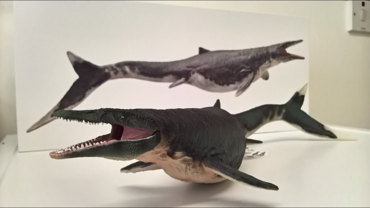 MOSASAURUS 