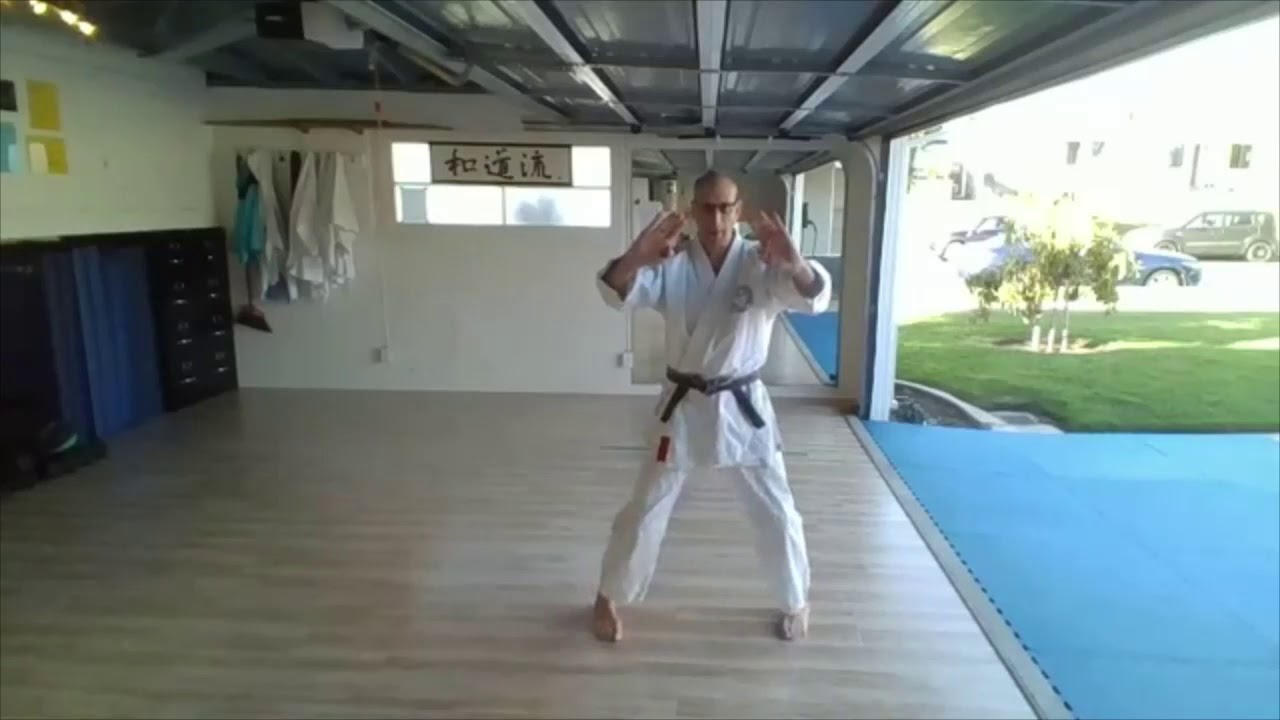 Wado-Ryu Karate-Do Academy Syllabus Training -  9th Kyu