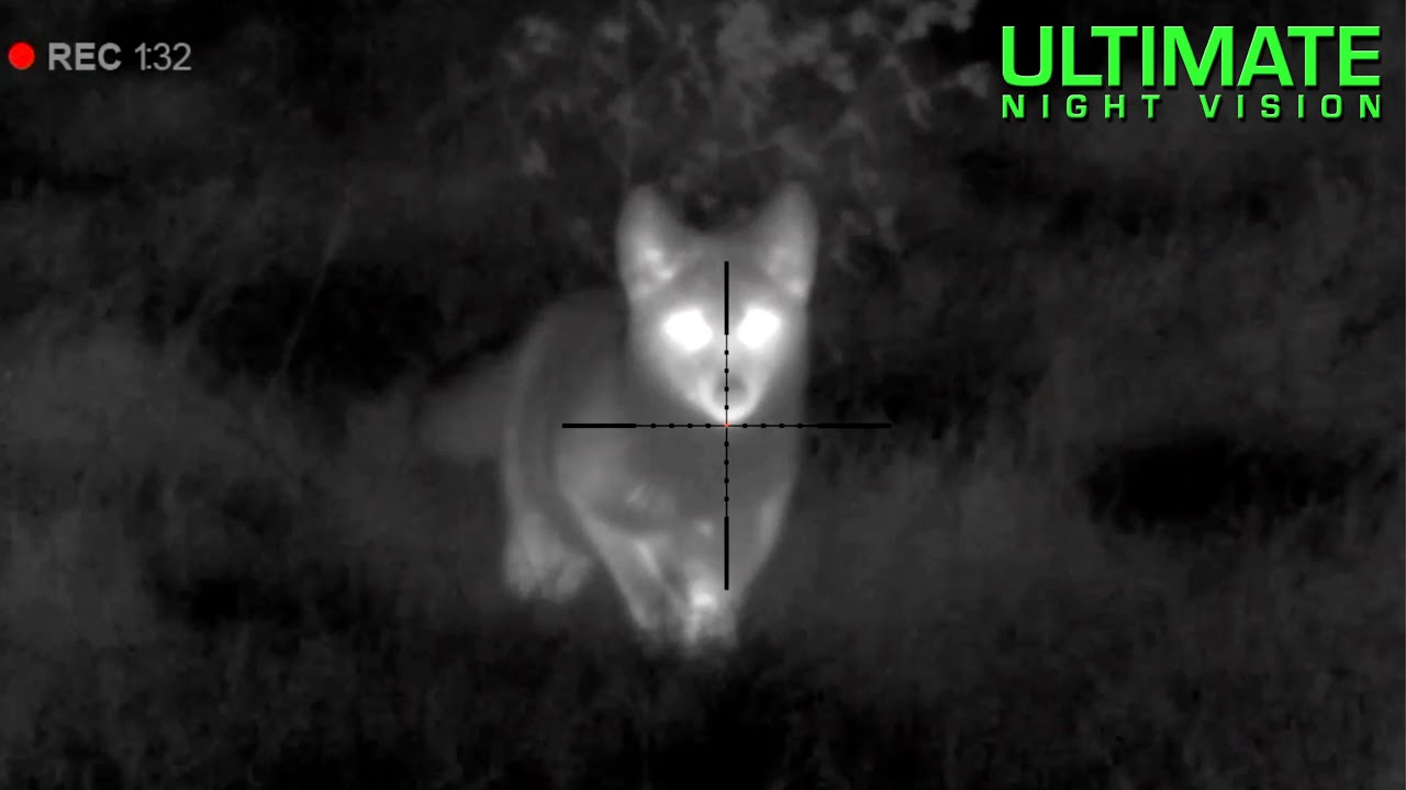 Thermal Predator Hunting | 45 Coyotes Down with the Pulsar Thermion XM50