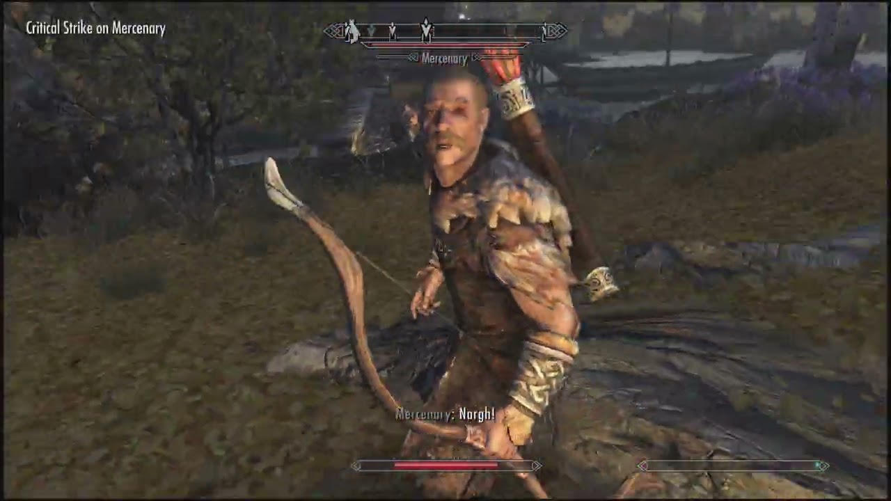 Skyrim (29)