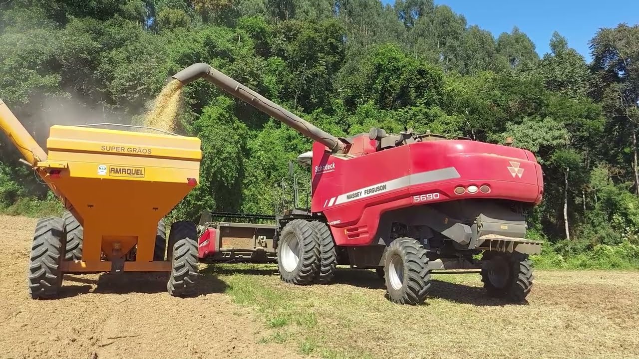 COLHEITADEIRA MASSEY FERGUSON 5690 SOFRENDO PARA COLHER NA DESCIDA E SUBIDA.