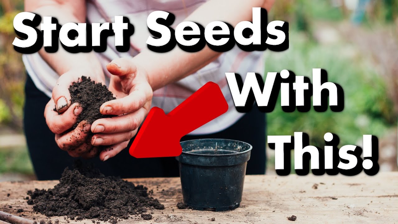 Seed Start Mixes Are DIFFERENT Than Potting Soil