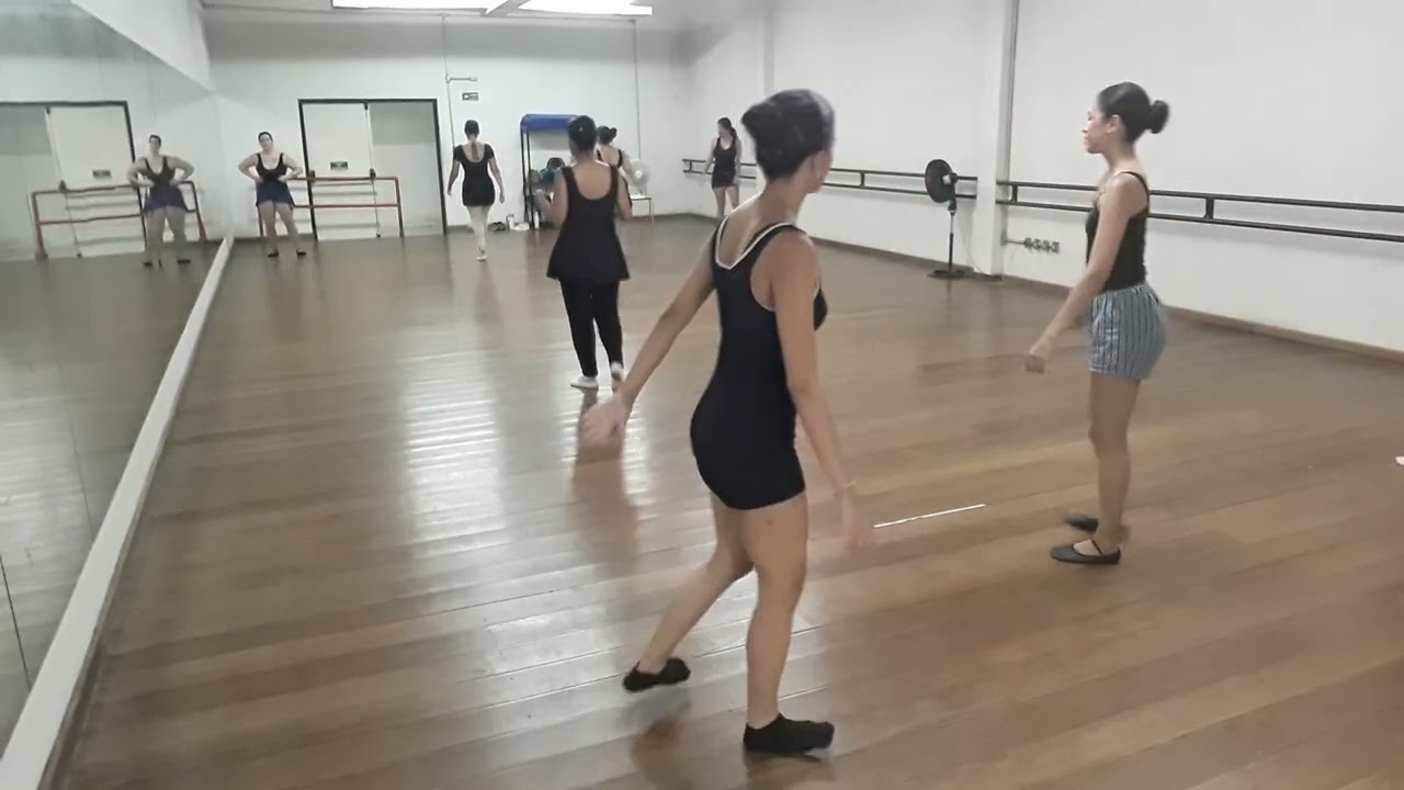 Dança Clássica 1_11.03.026_Video 8