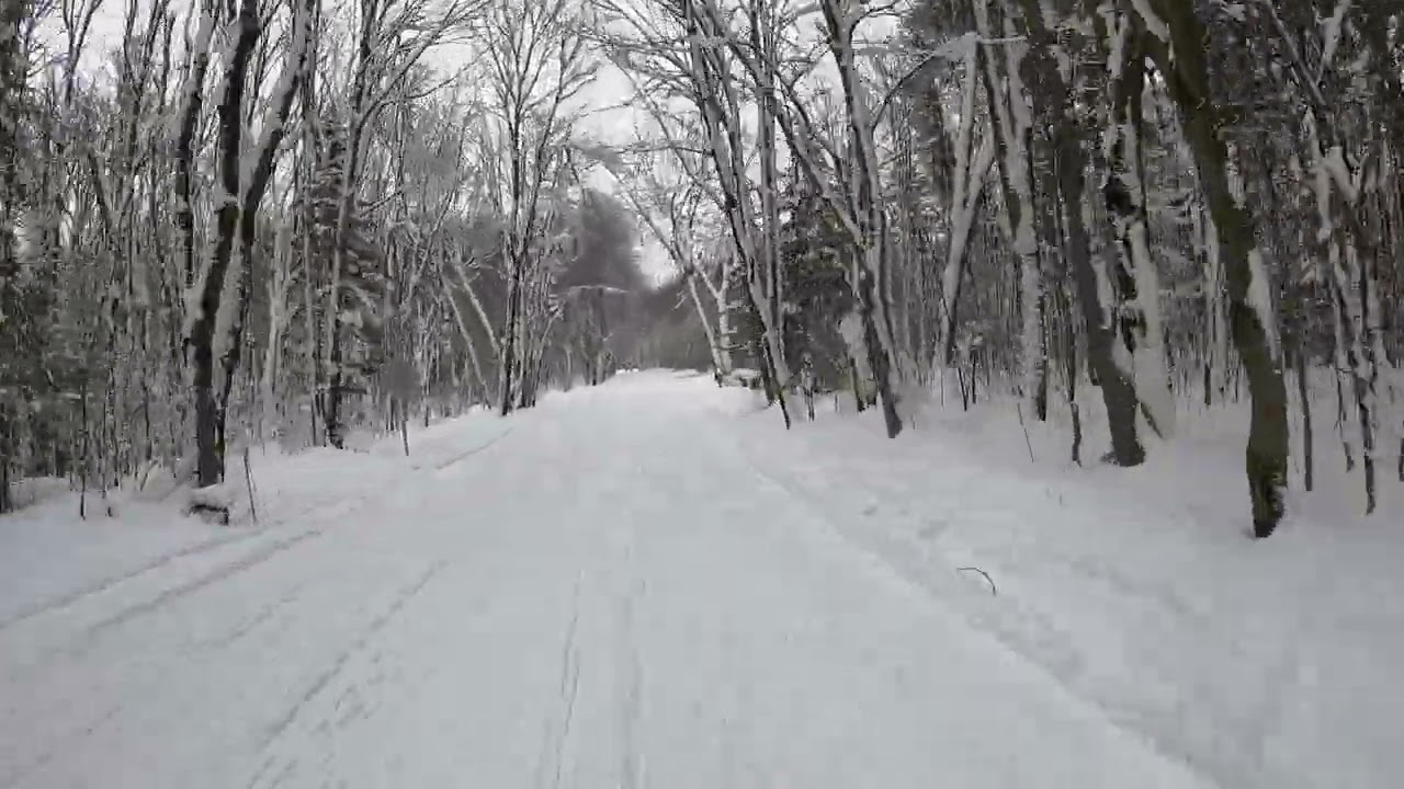 Great Day nice trails
