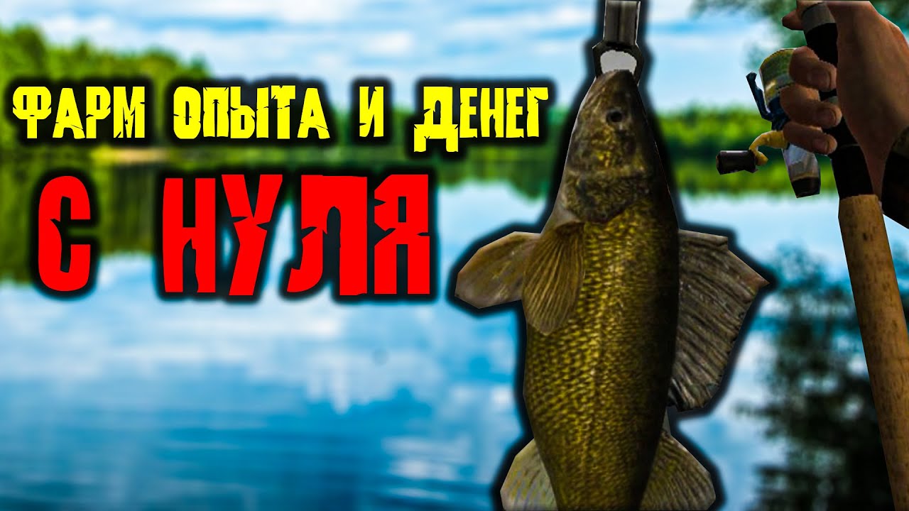 ФАРМ ДЕНЕГ И ОПЫТА РАБОТАЕТ! В 2025 Fishing Planet #1
