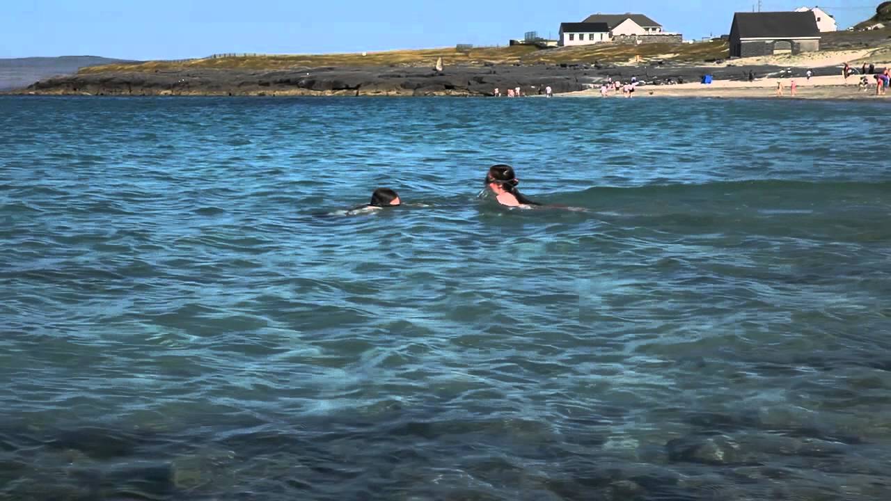 Sharks | Ireland's Ocean